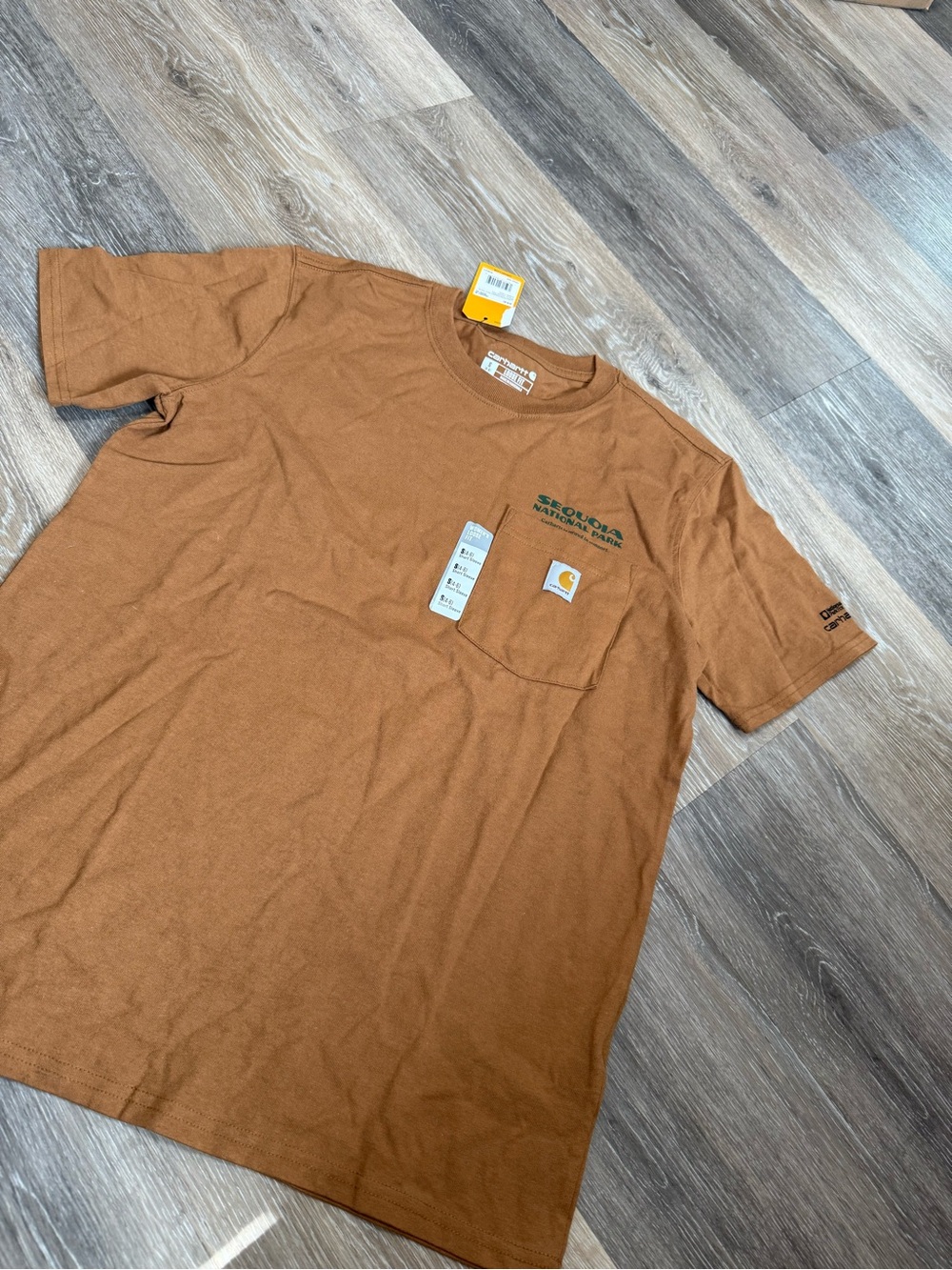 Carhartt Short-Sleeve Pocket Tee in Rust Brown